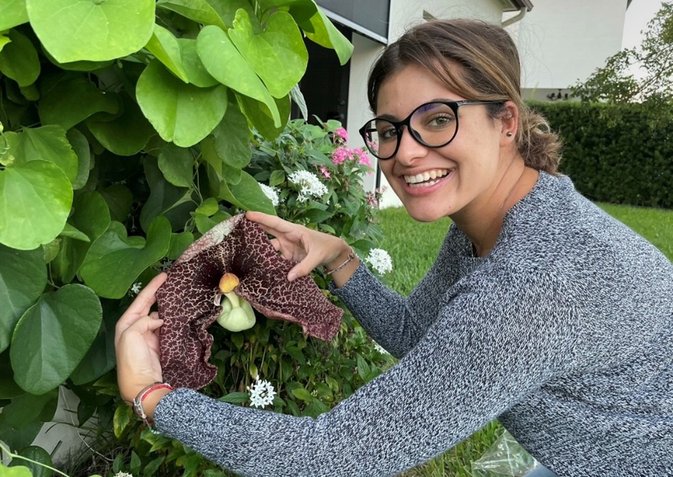 Barry University Biology Alumna Leads Research on Asimina Triloba at Northwestern University